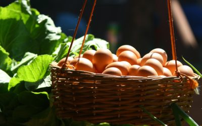 Evolución de la rentabilidad del sector de huevos para consumo